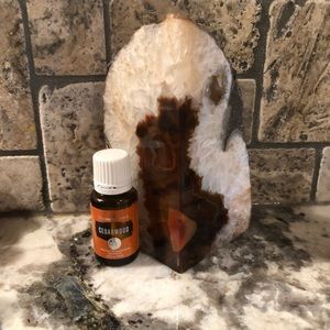 New! YL Cedarwood Oil 15ml